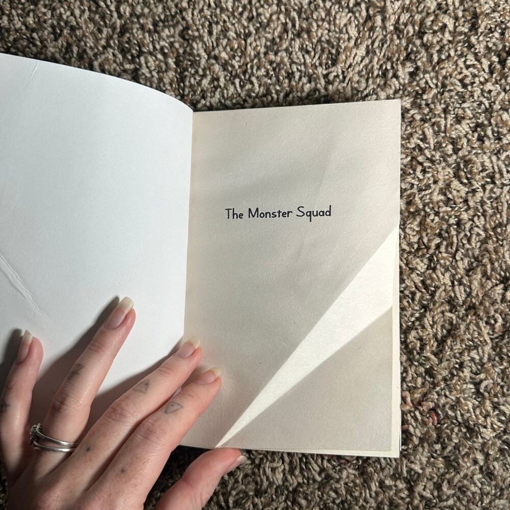 3rd Grade Chapter Book Bundle - Picture 9 of 10